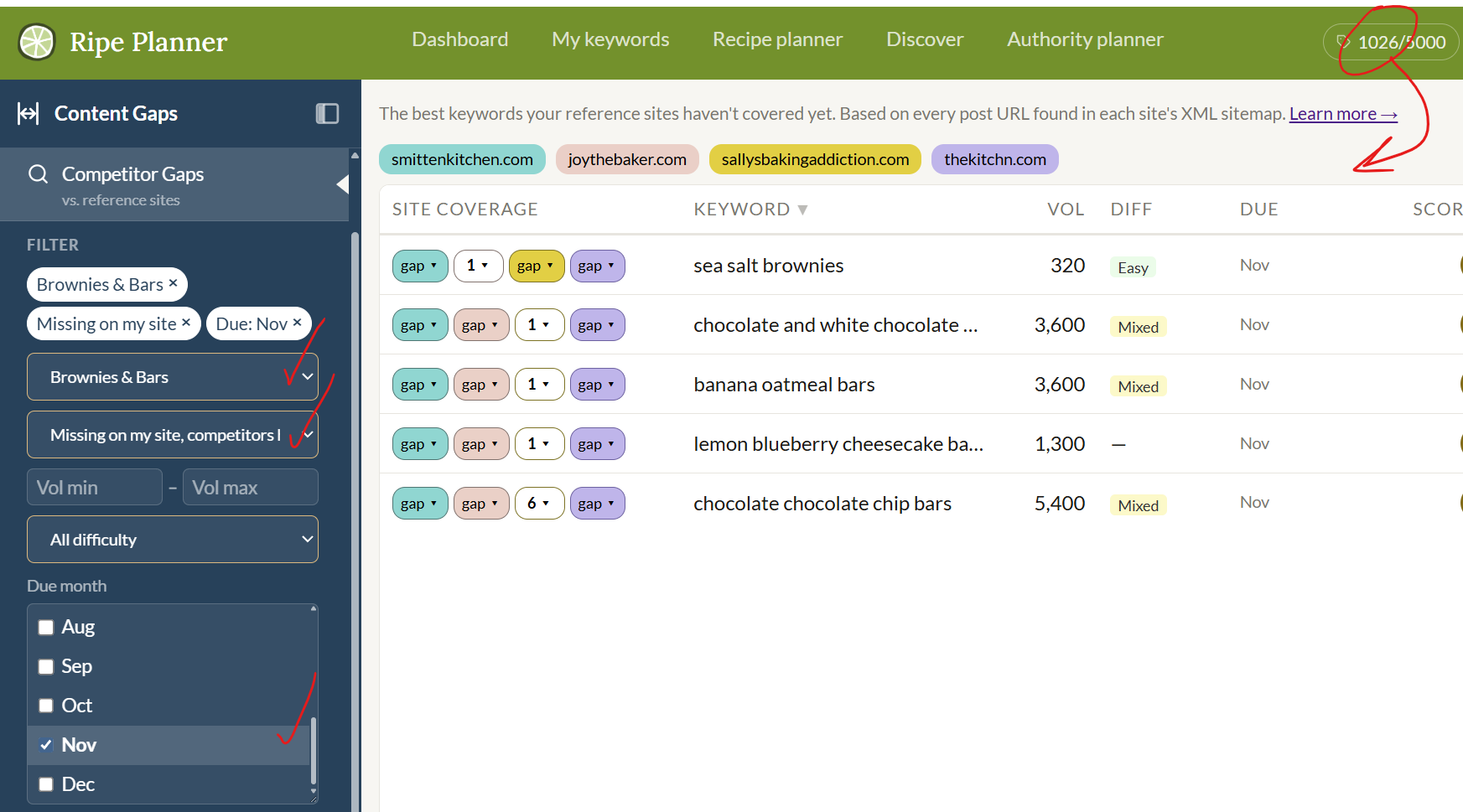 Screenshot of Ripe Planner's filtered content gap keywords